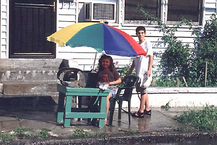 Lemonade Stand