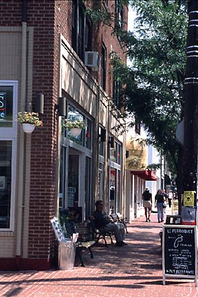 Shadyside Shopping