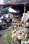 Strip District flowers
