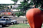 Soergel Orchards
